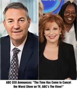 ABC CEO Announces: "The Time Has Come to Cancel the Worst Show on TV, ABC's The View!"