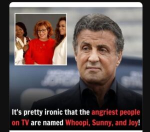 It’s pretty ironic that the angriest people on TV are named Whoopi, Sunny, and Joy!